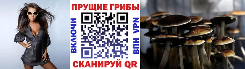 Галлюциногенные грибы Magic Shrooms  блэк спрут как зайти  Туапсе  купить  